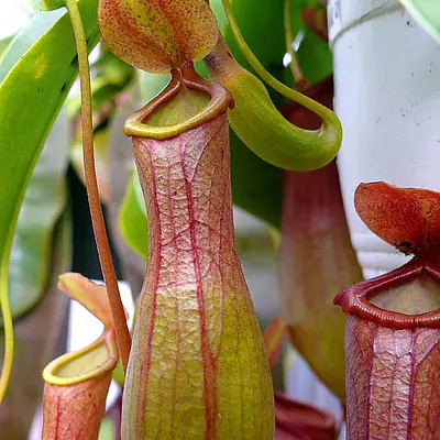 Test product 2 primary image